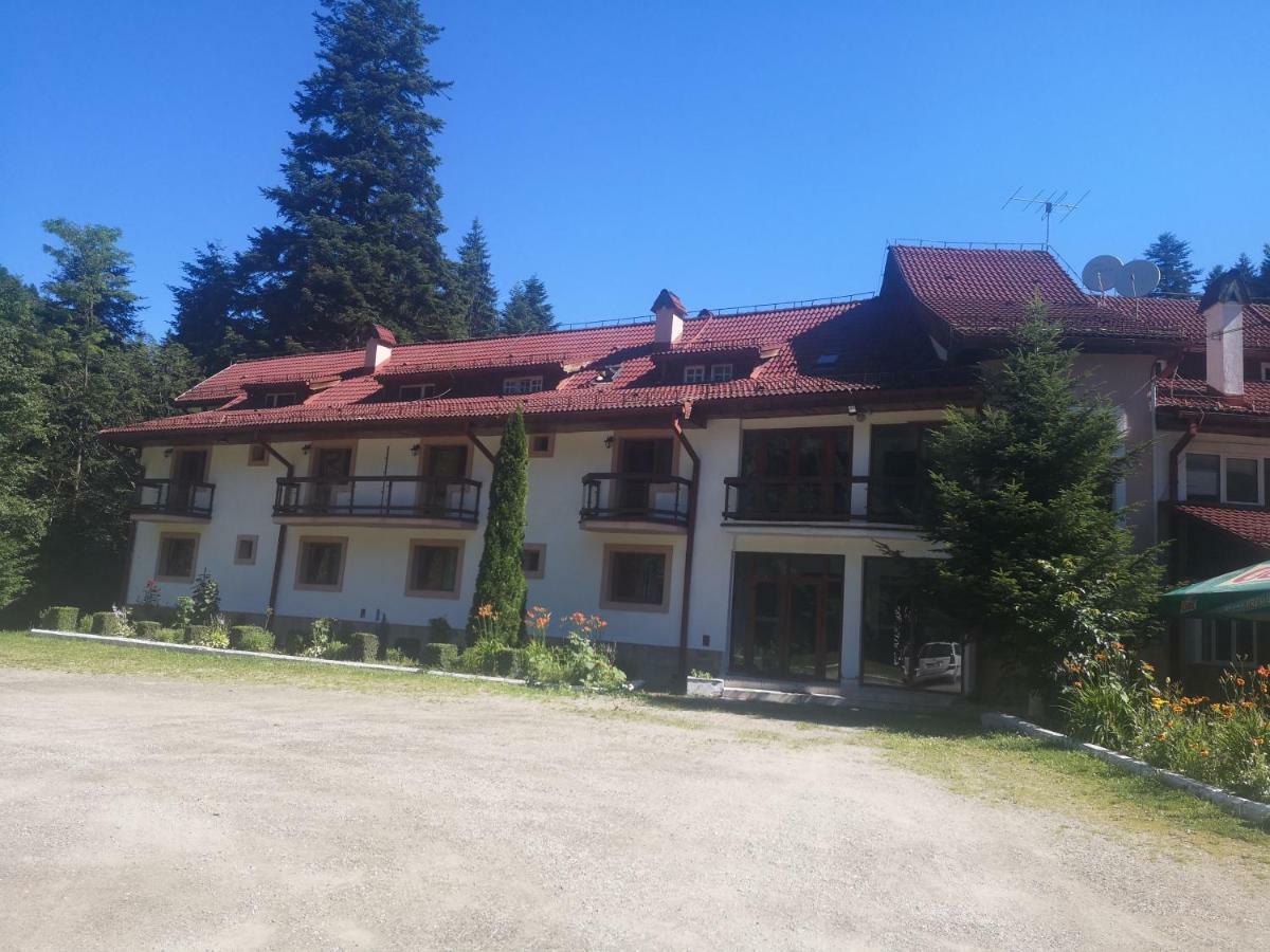 Hotel Floarea Reginei Statiunea Climaterica Sambata Exterior foto
