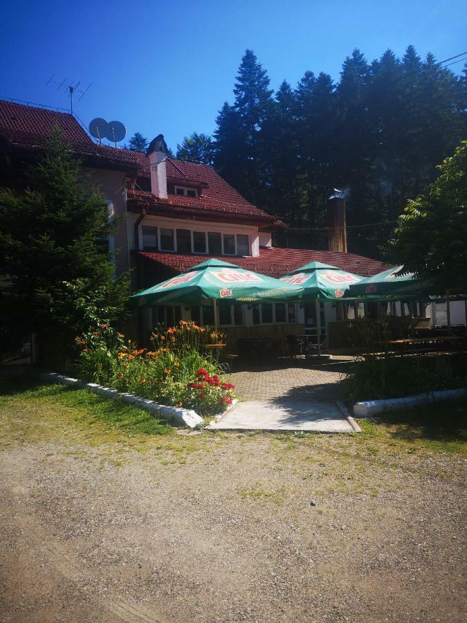 Hotel Floarea Reginei Statiunea Climaterica Sambata Exterior foto